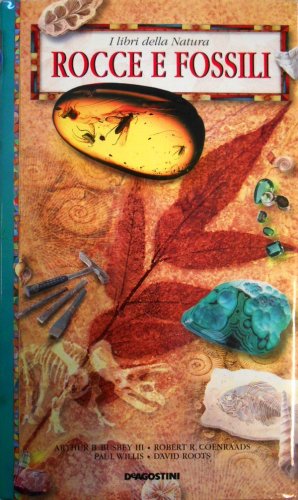 Rocce e fossili