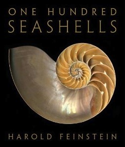 One hundred seashells