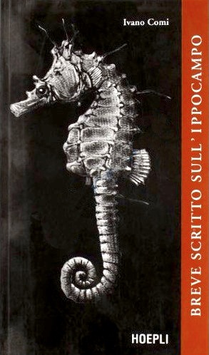 Breve scritto sull'ippocampo