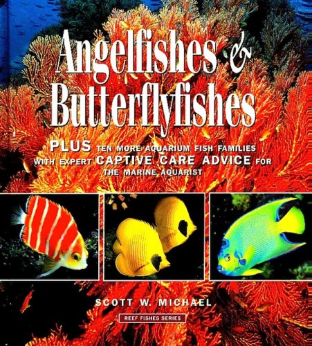 Angelfishes & butterflyfishes