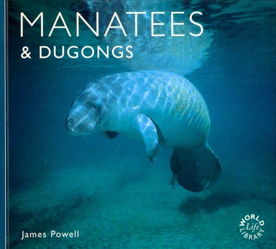 Manatees & dugongs
