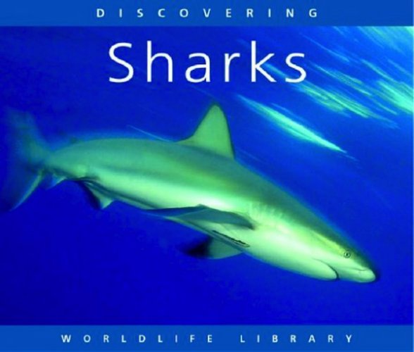 Discovering sharks
