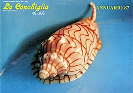 Conchiglia Annuario 1987