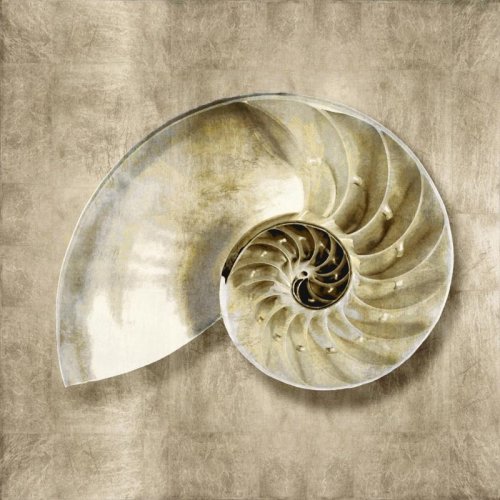 Nautilus golden sea life IV