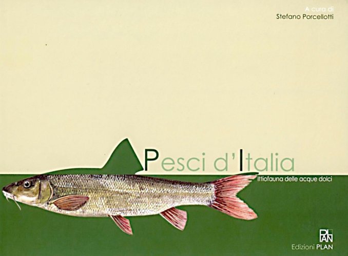 Pesci d'Italia