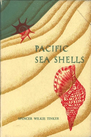 Pacific sea shells