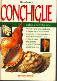 Conchiglie