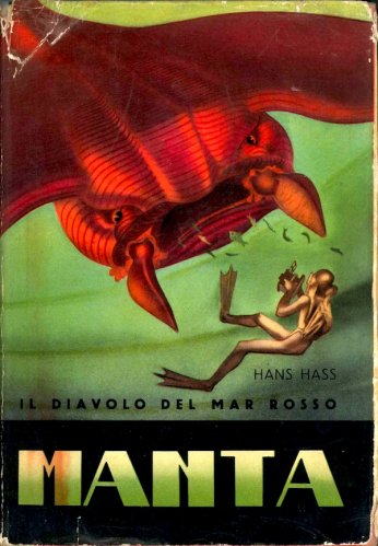 Manta il diavolo del Mar Rosso