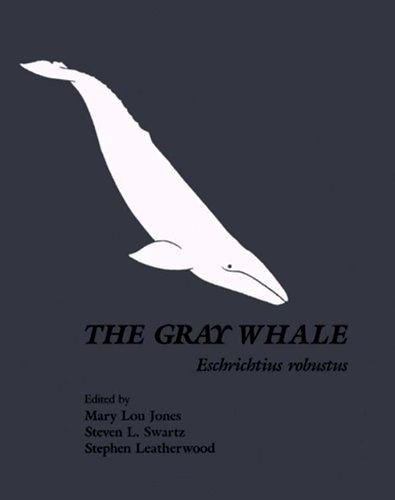 Gray whale