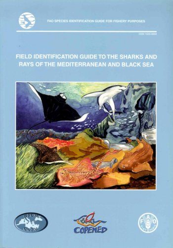 Field identification guide to the sharks & rays of the Mediterranean & Black Sea