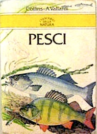 Pesci