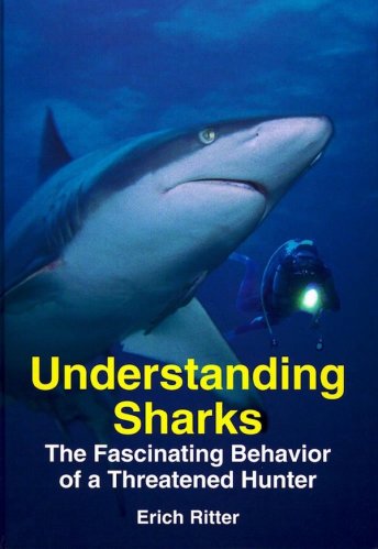 Understanding sharks
