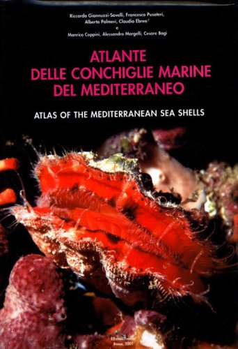 Atlante delle conchiglie marine del Mediterraneo vol.7