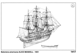 Alice Mandell 1851 baleniera americana