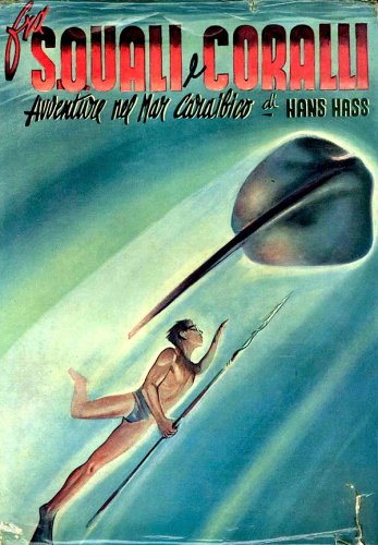 Fra squali e coralli