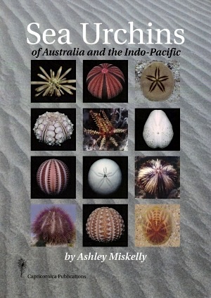 Sea urchins of Australia and the Indo-Pacific